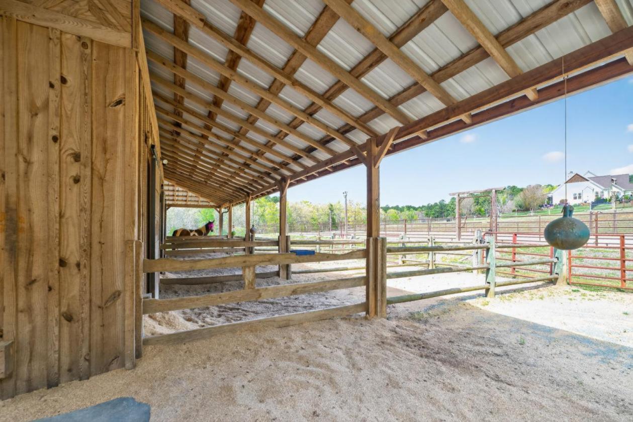 EQUESTRIAN PROPERTY HAVEN - photo 6