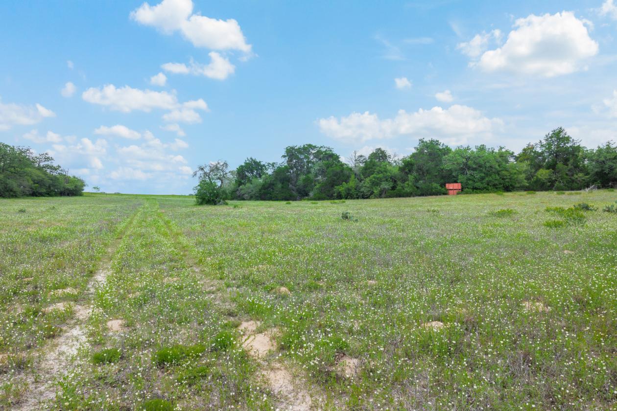 99 Unrestricted acres - photo 28