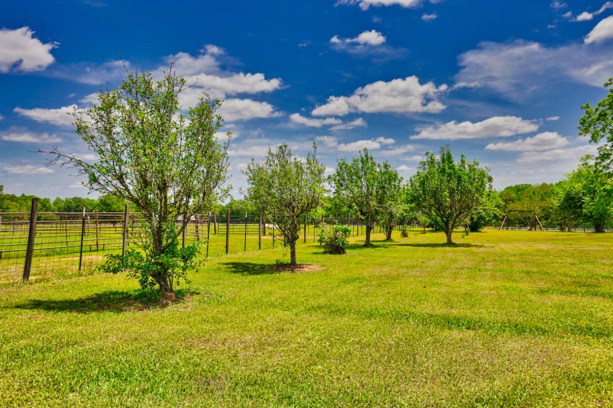 Equestrian Paradise Tallahassee, Leon County, Florida