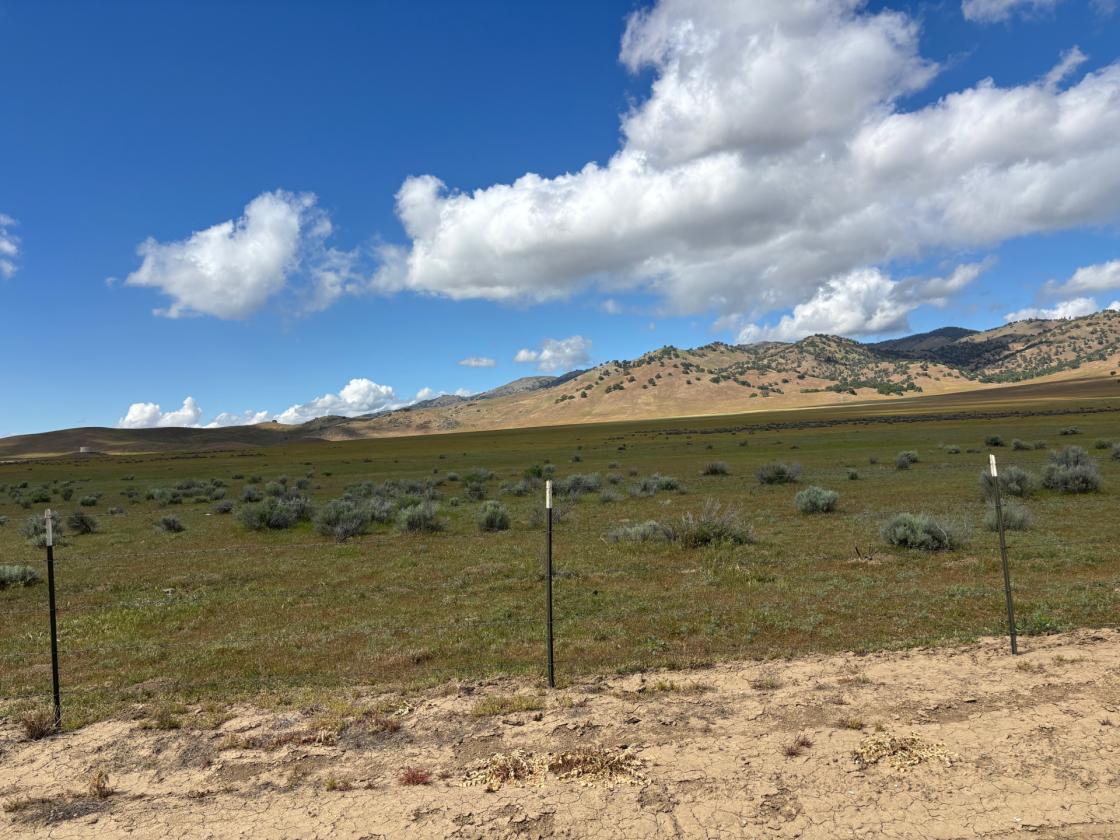 Capital Hills Ranch - 1,770 Acres - photo 9