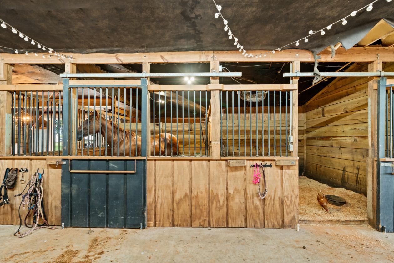 Turnkey Luxury Equestrian Estate - photo 13