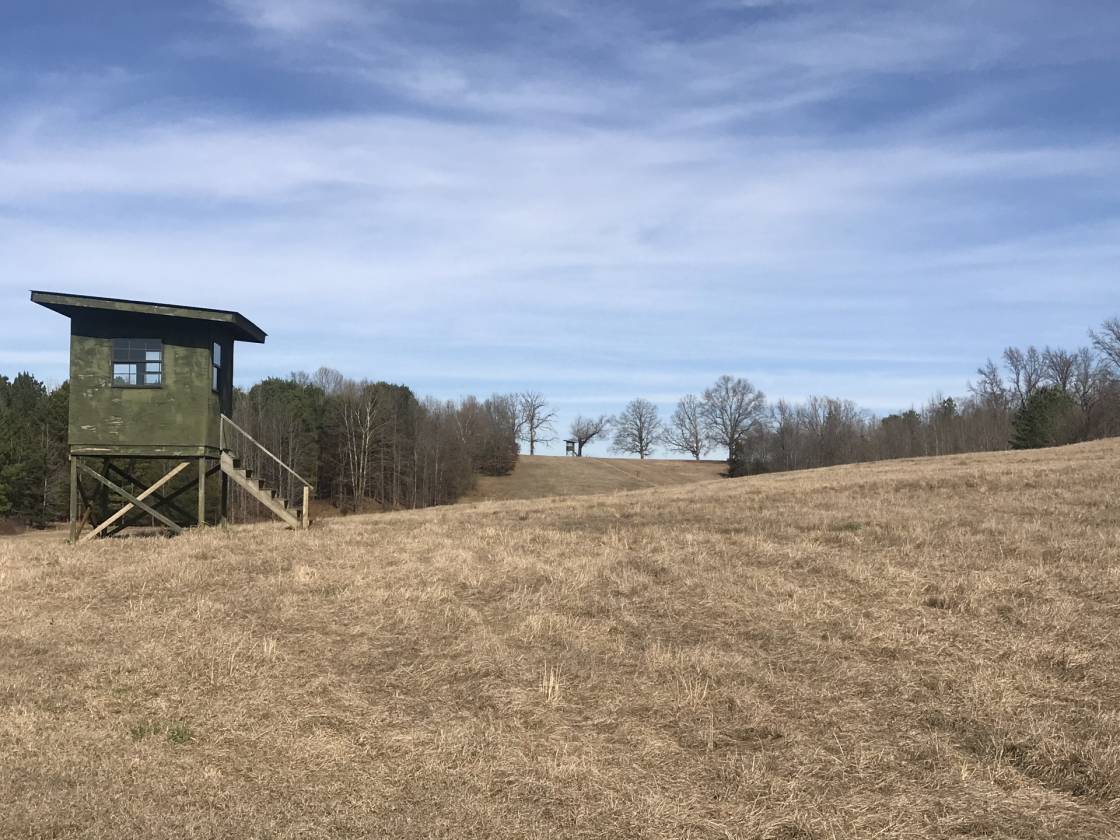 790+/Acre Premier Equestrian Estate Batesville, Panola County