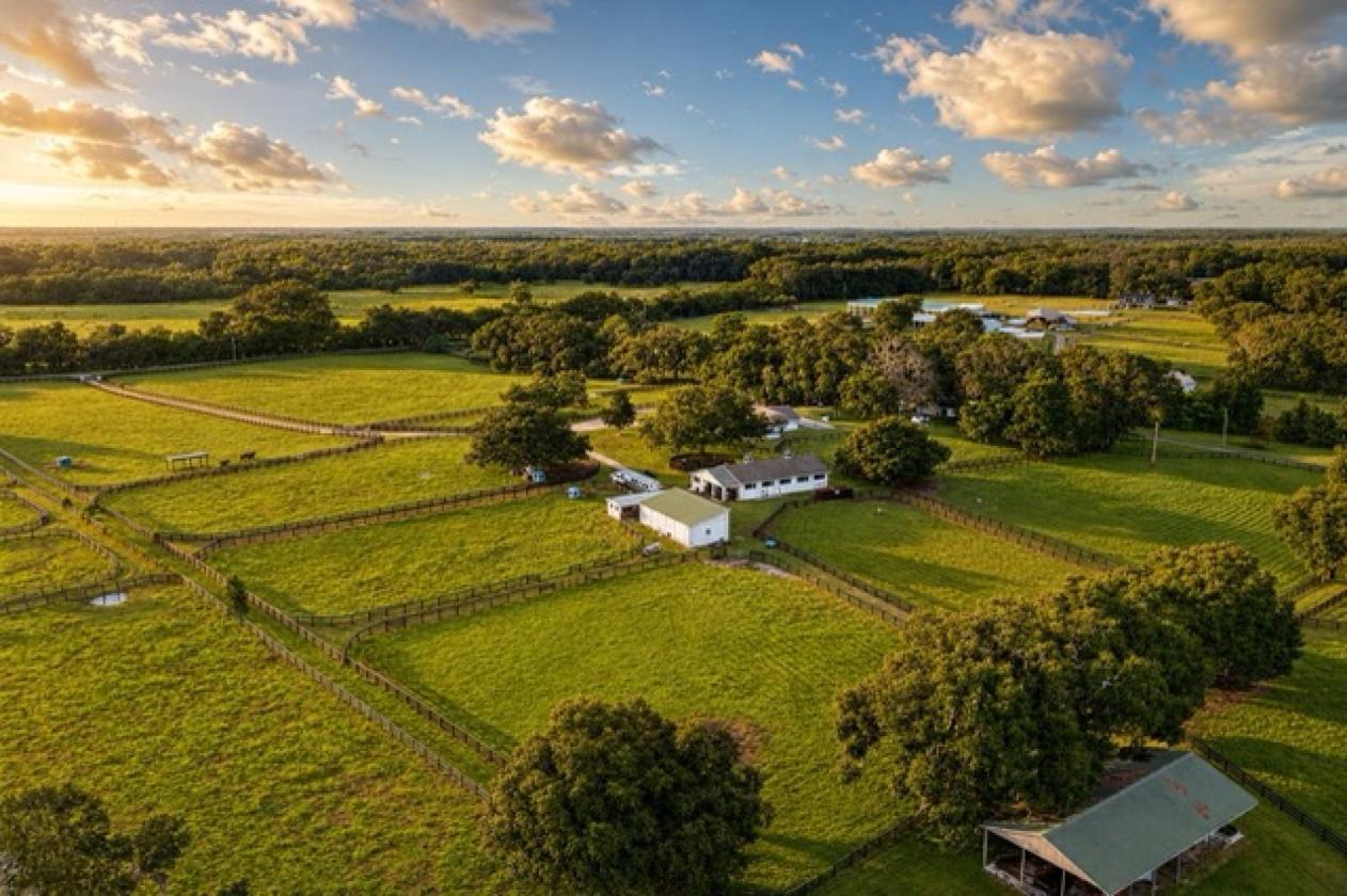 Turn-Key 20 Ac Horse Farm Renovated Home mins WEC - photo 6