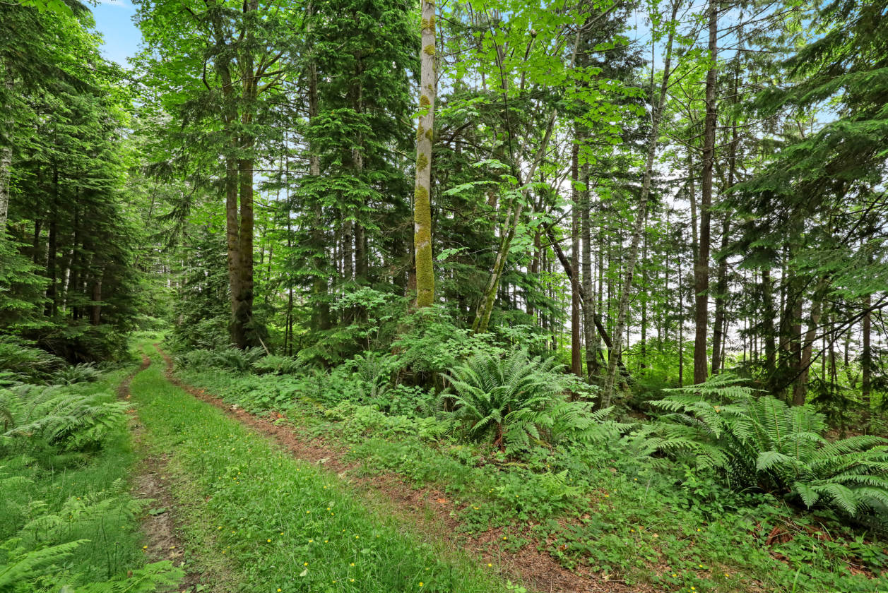 Stunning Waterfront Acreage Courtenay, Comox Valley County, British