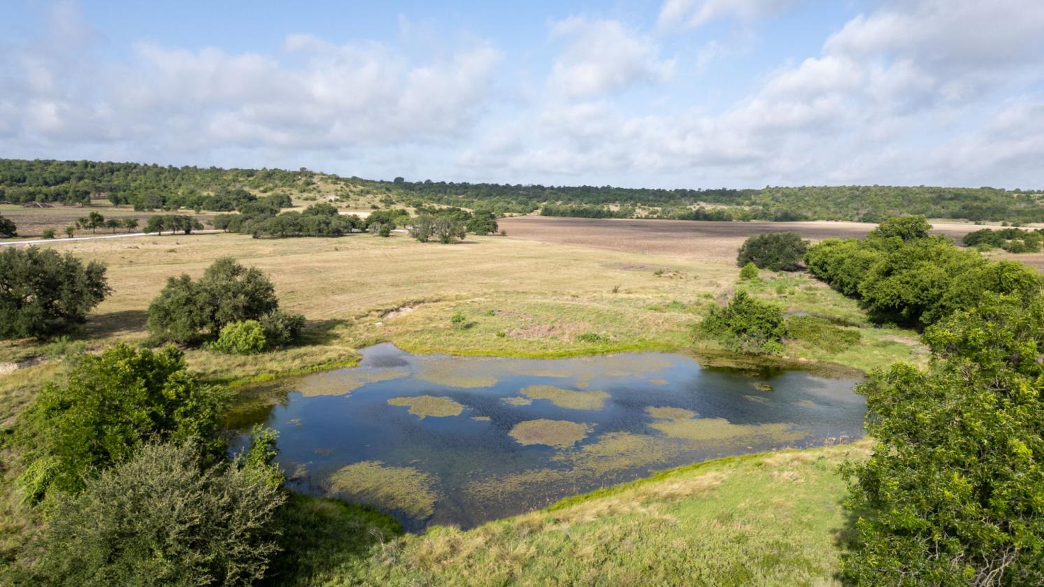 60 Acres in Star - Ready for Horses! - photo 6