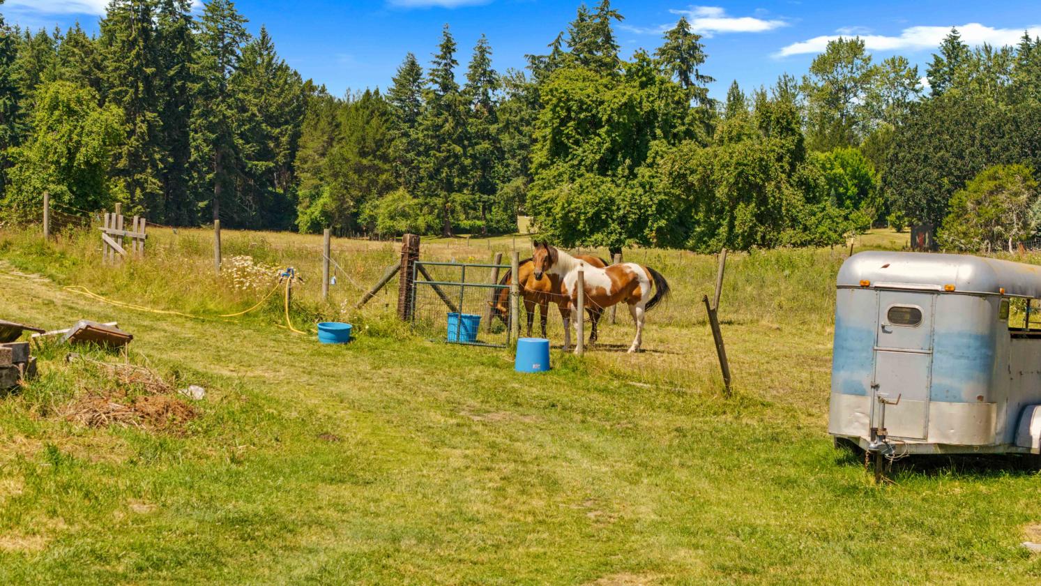 13.35 Acre Working Farm in Yelm, WA! - photo 11