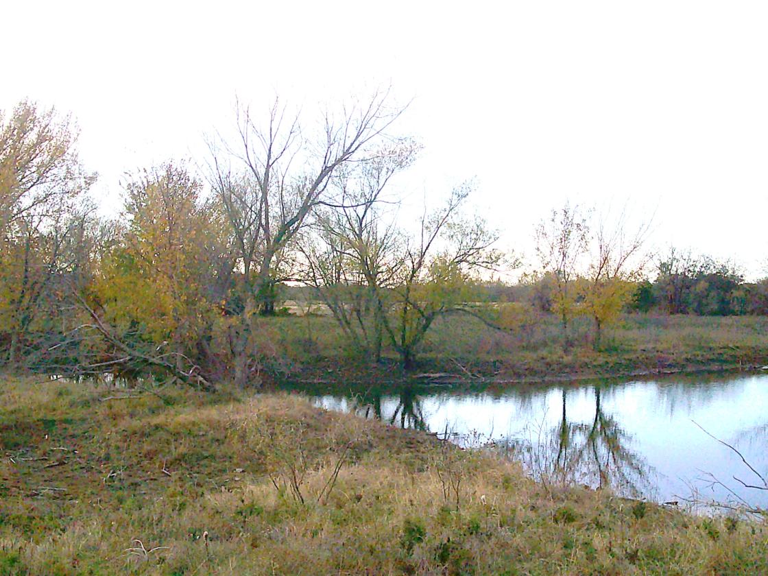 Horse Pasture With ponds - photo 7