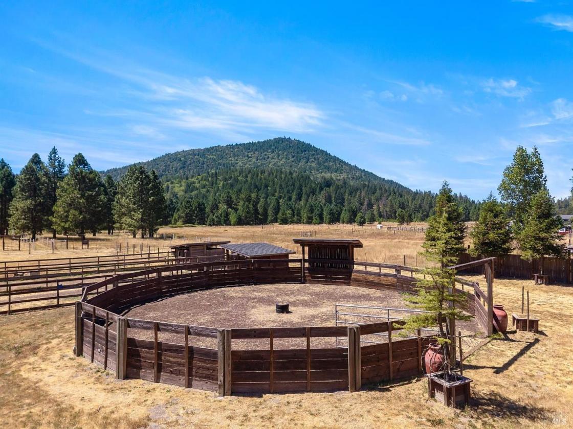 Turnkey Horse Property on ~5 Acres - photo 28