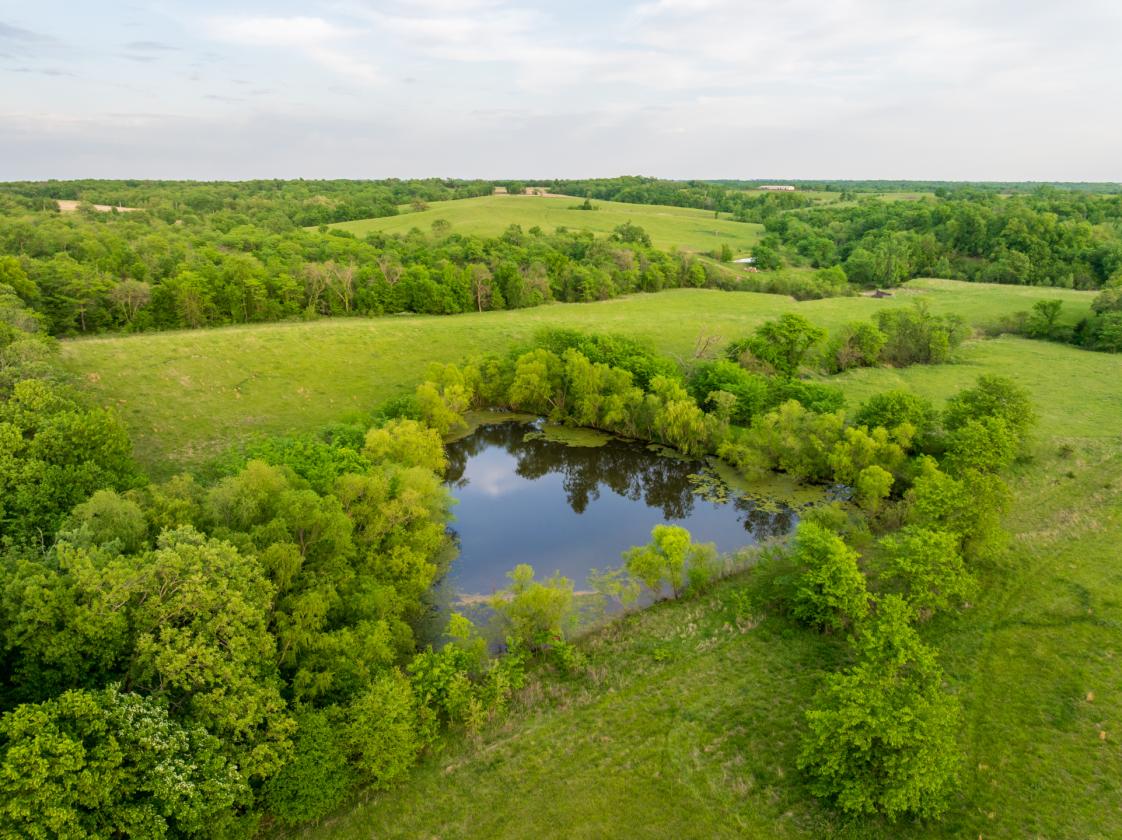 273.5 +/- Acre Turn-Key Cattle and Horse Property - photo 18