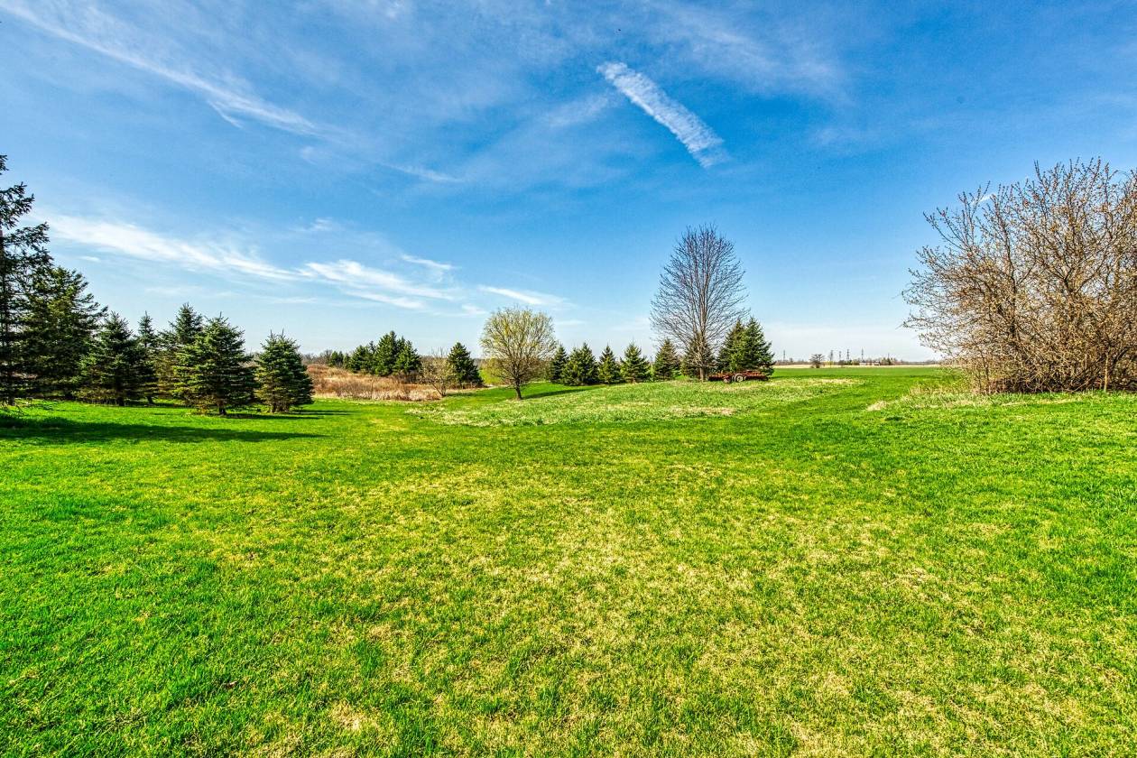 99 Acre Farm - photo 6