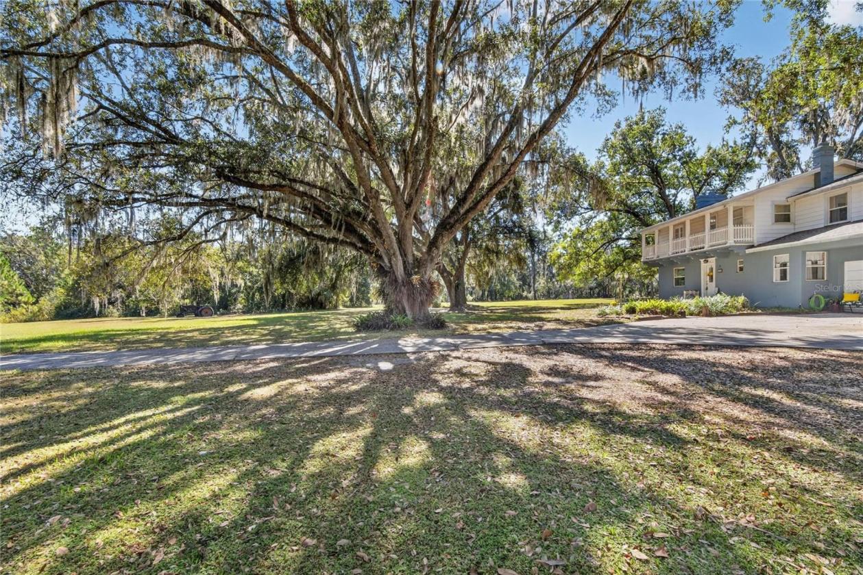 Beautiful Country Home on 5 Acres - photo 2