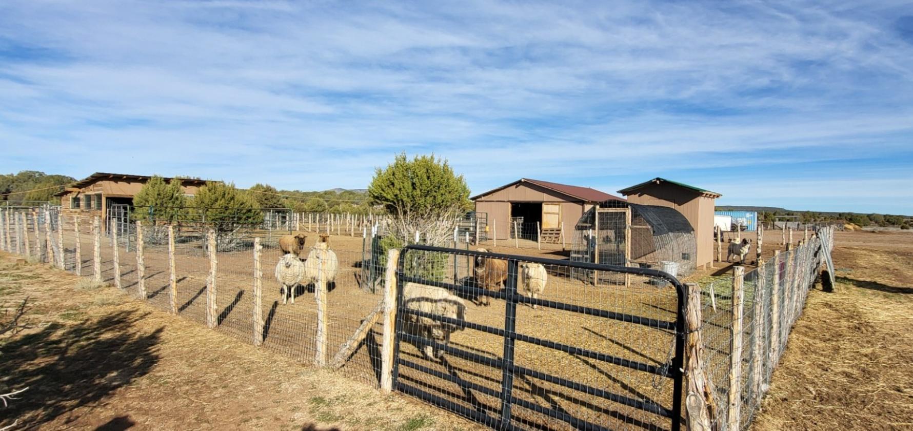 Ranch Ready - Northern AZ - 47.2 Acres - Fenced - photo 13
