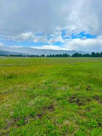 Property image.