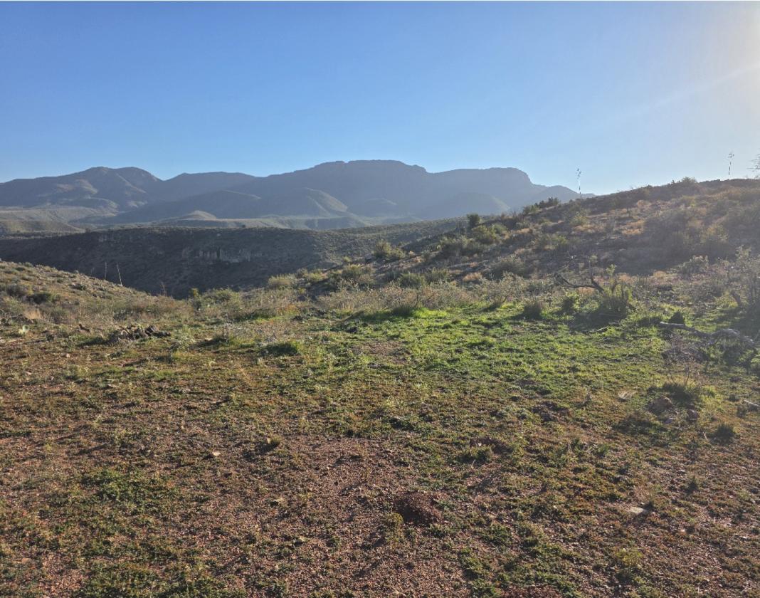 300 Acres off grid ranch with 2 springs - photo 8