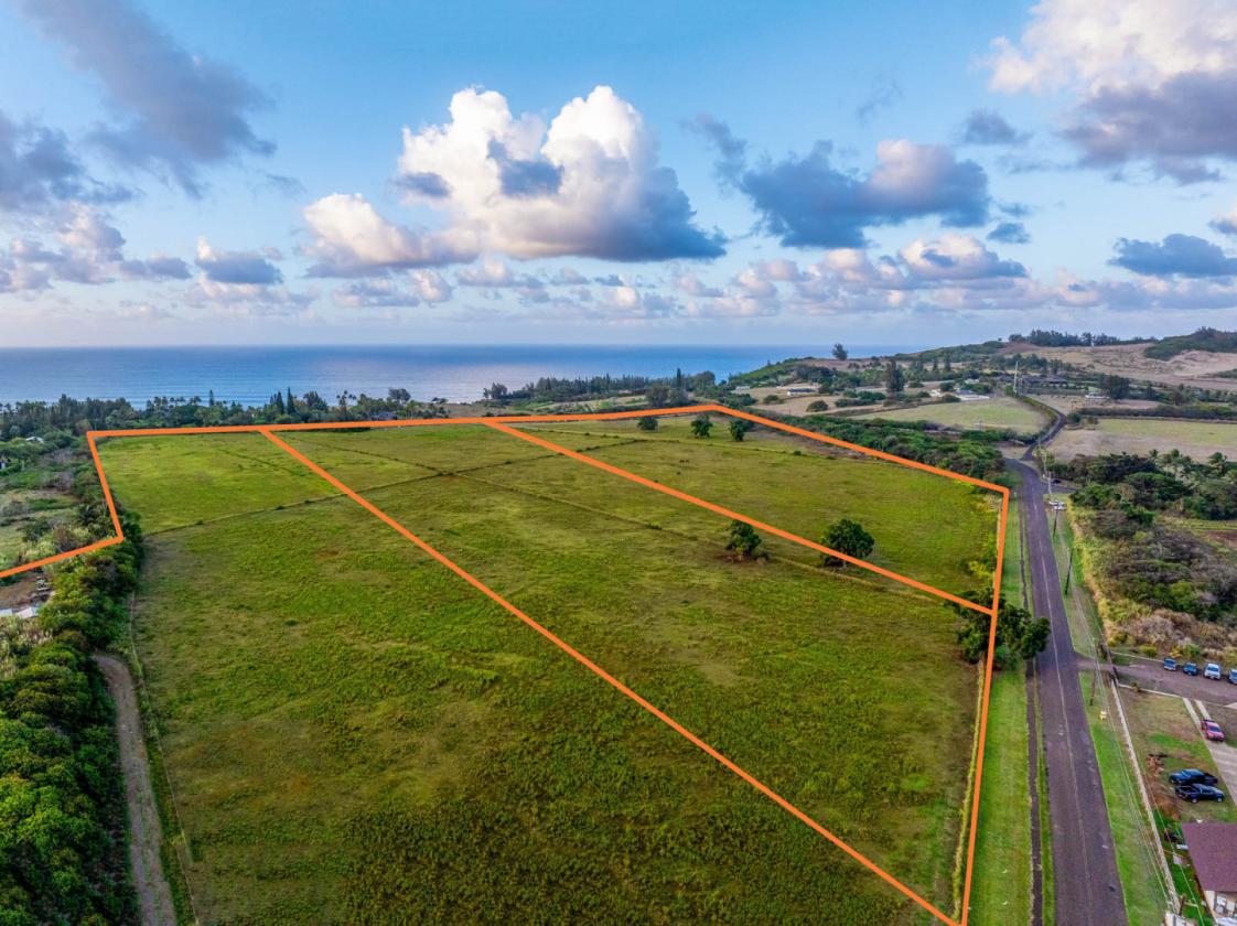 58+ Acres of Prime Land on Kauai's North Shore - photo 10