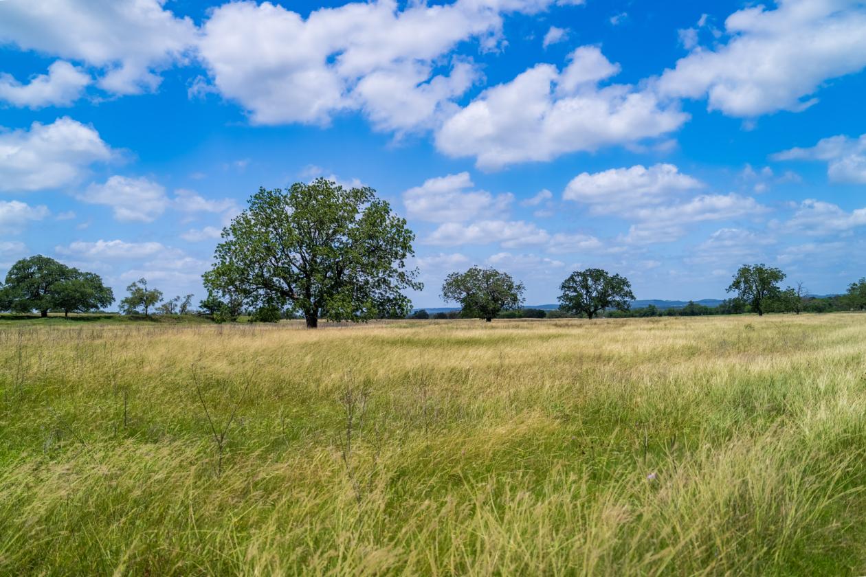 Equestrian Property On the Texas Wine Trail - photo 22