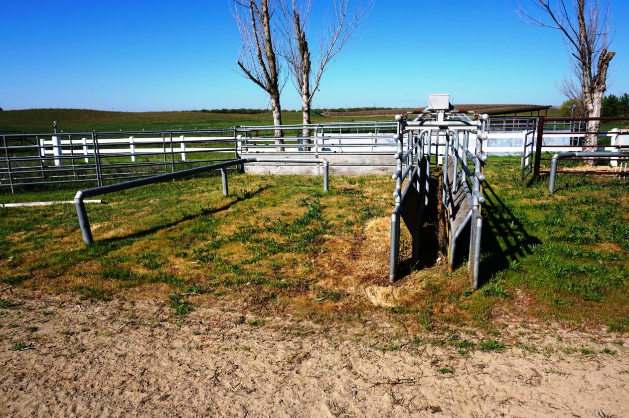 Oakdale California Equestrian Estate Oakdale, Stanislaus County