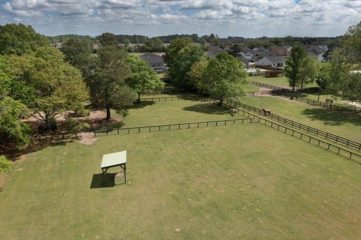 Daisy Hill Farm - Horse Property - photo 22
