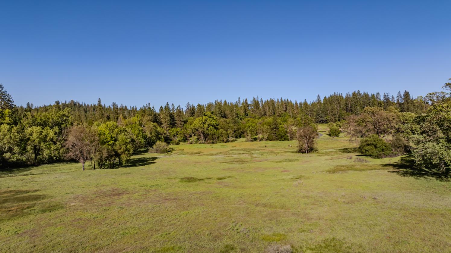 40 Acres - Fully ADA/Wheelchair Accessible - photo 9