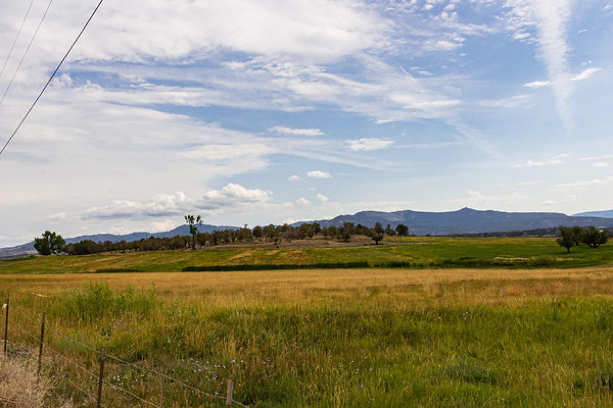 Picturesque 80-acre ranch! - photo 11