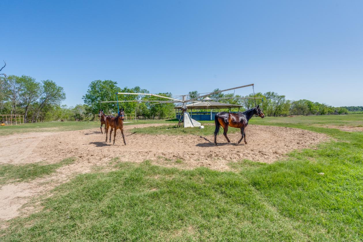 Horse Ranch - photo 4