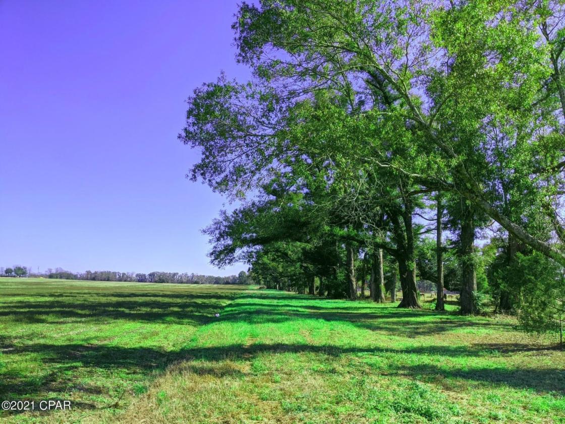 13.25 Acres of Prime Country Living in NW FL - photo 4