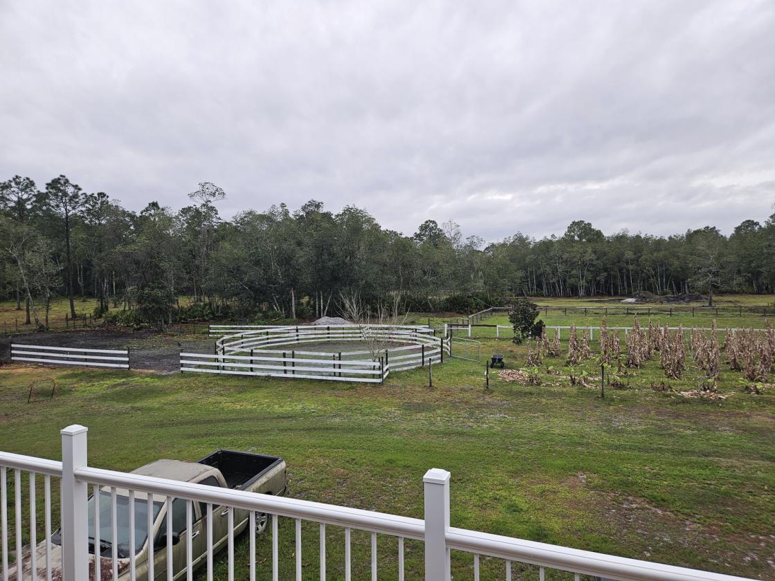 Affordable Equestrian property - photo 28