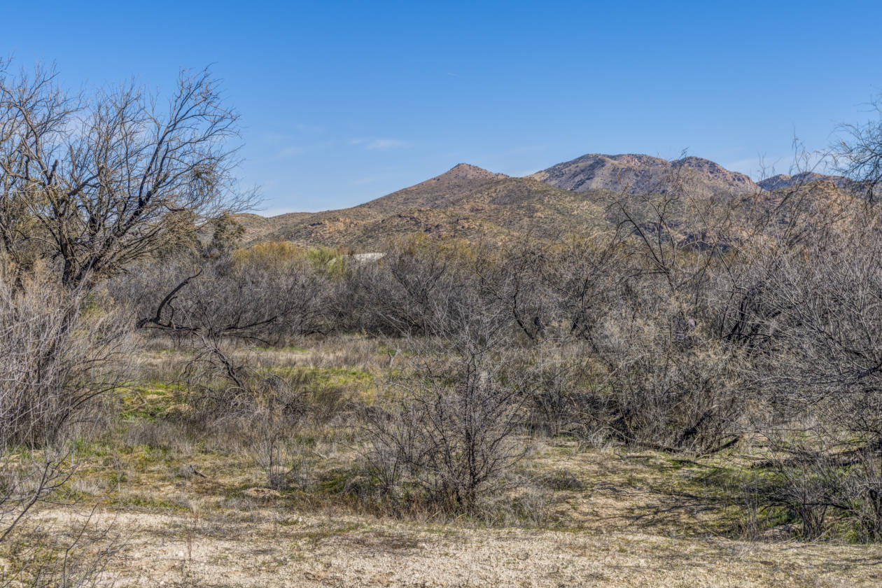 9.95 Acres of Horse Property in the Tanque Verde Valley... Tucson