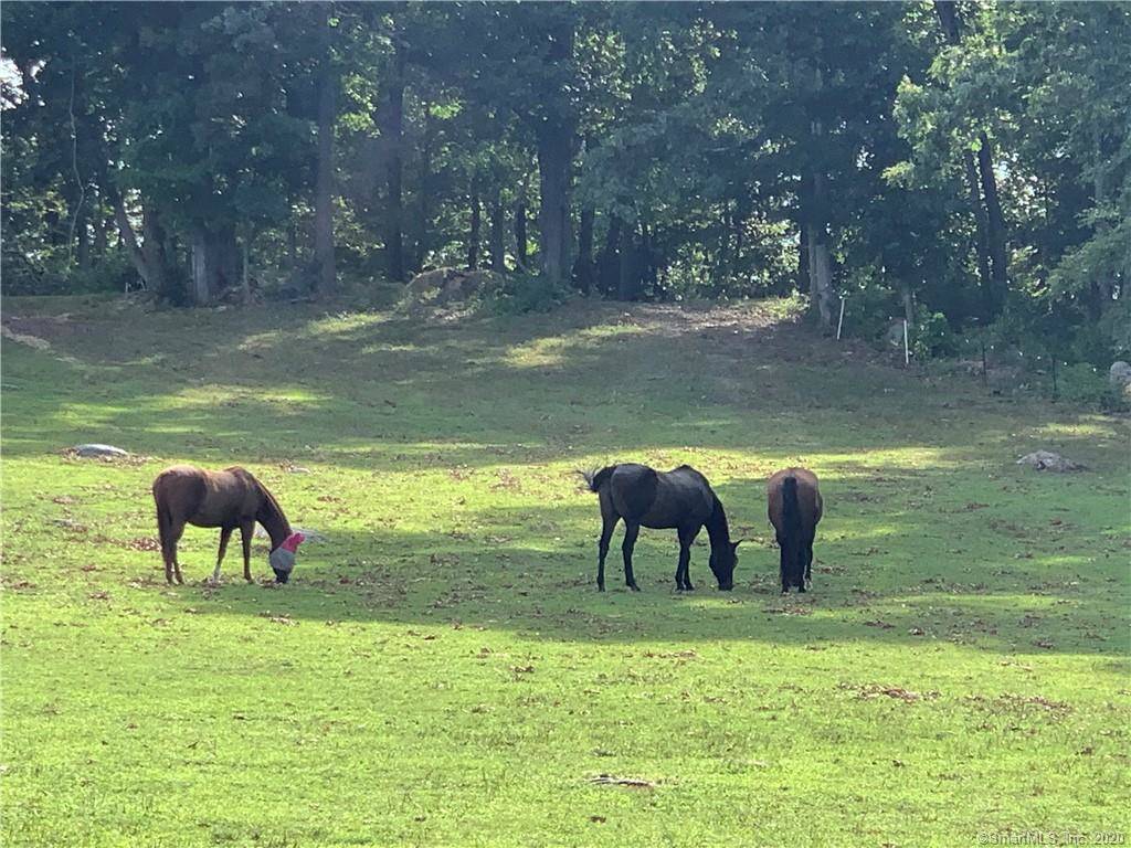 Beautiful 17 ACRE HORSE PROPERTY w/ 100' x 200 riding... East Hampton