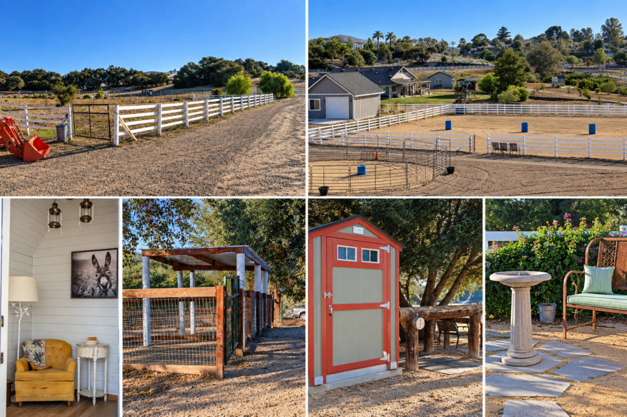 Hobby Horse Farm 15 minutes to the Beach - photo 24