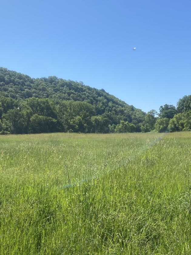 Deep River Farm - photo 3