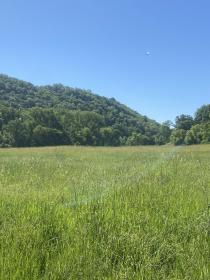 Property image.