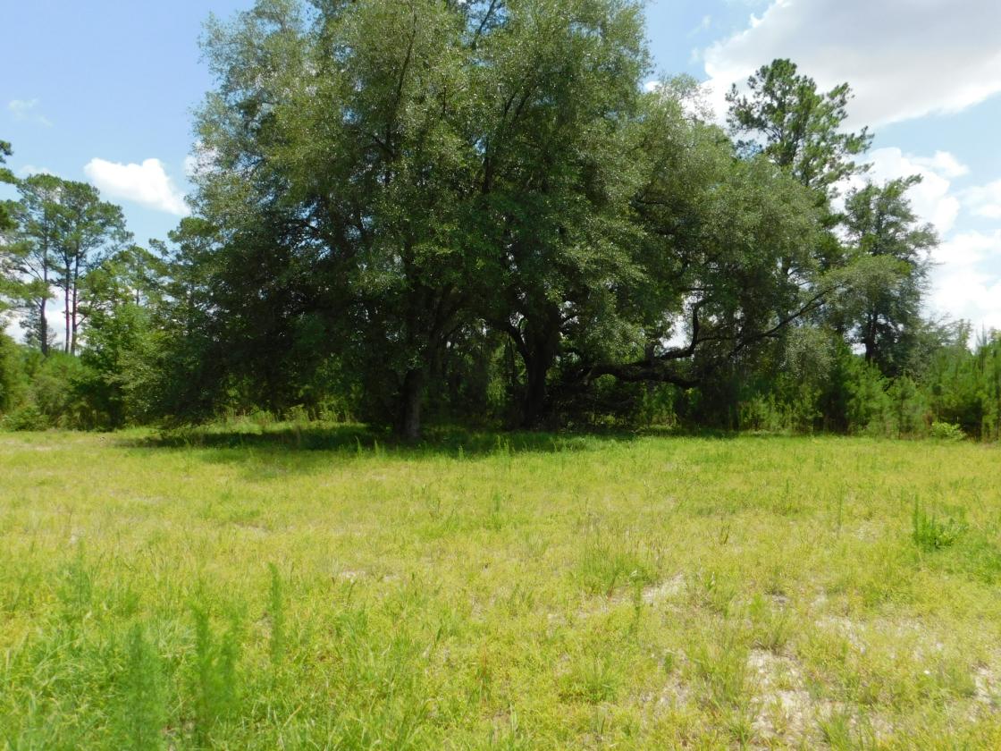 Lowcountry Paradise, waiting for your creativity - photo 17
