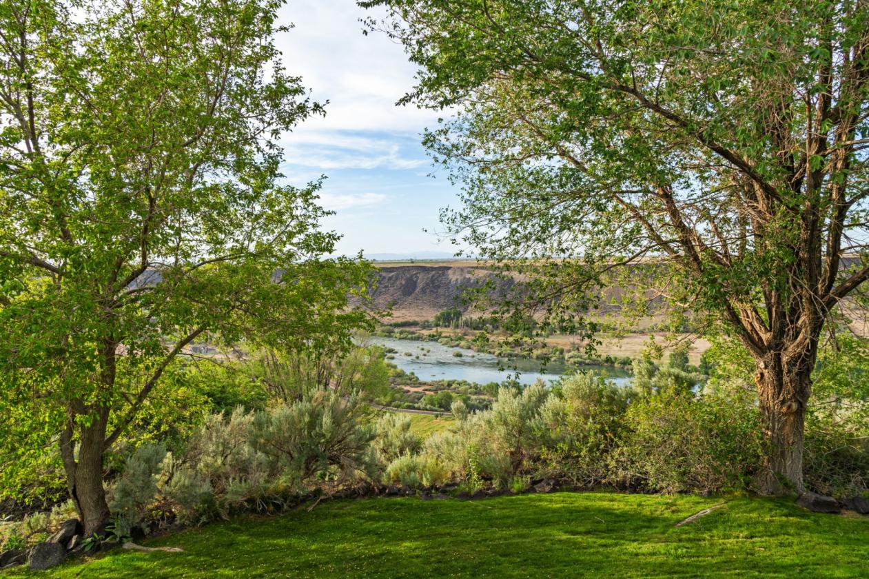 Legacy Equestrian Property with Jaw Dropping Views - photo 4