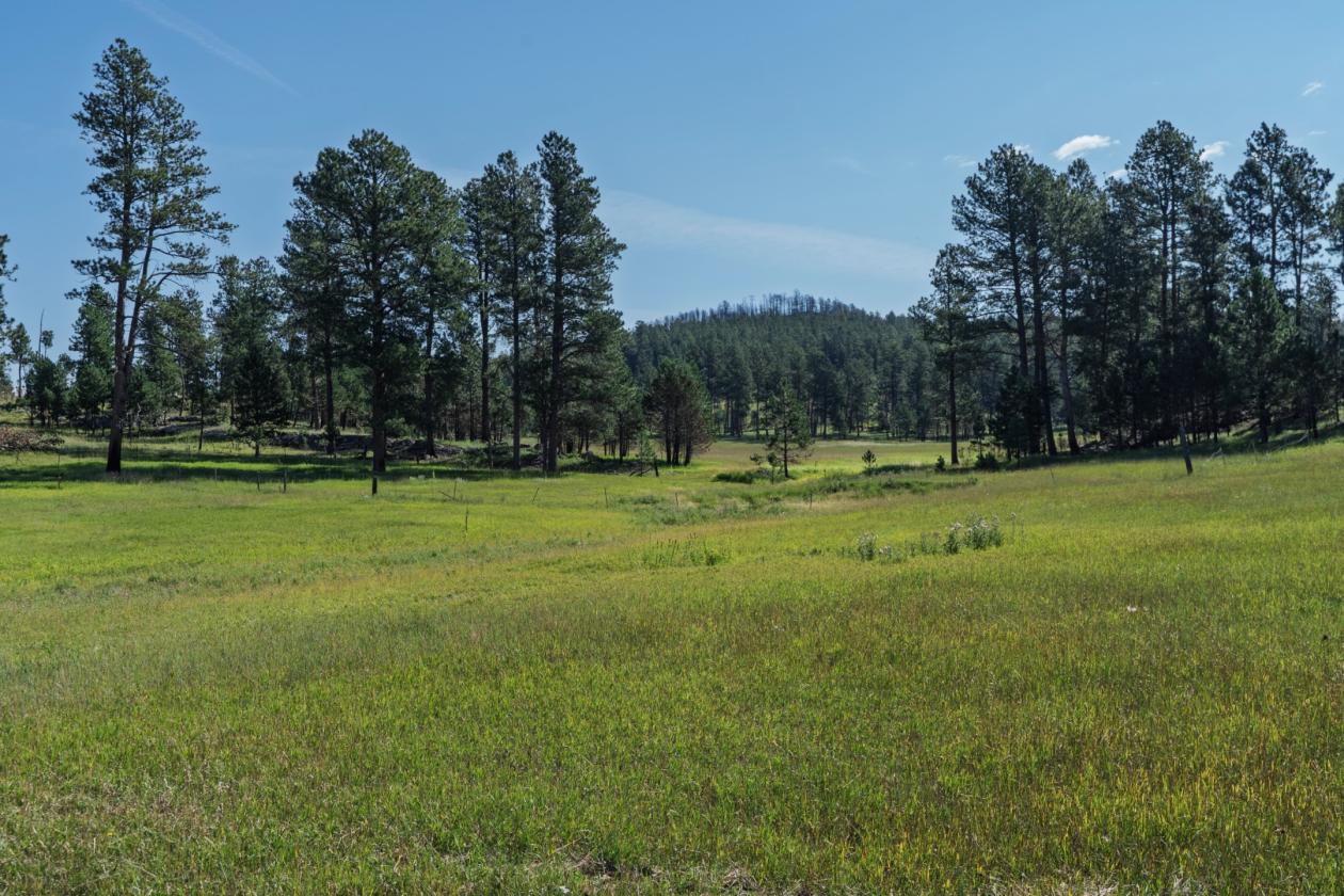 Glen Erin Horse Camp - photo 24