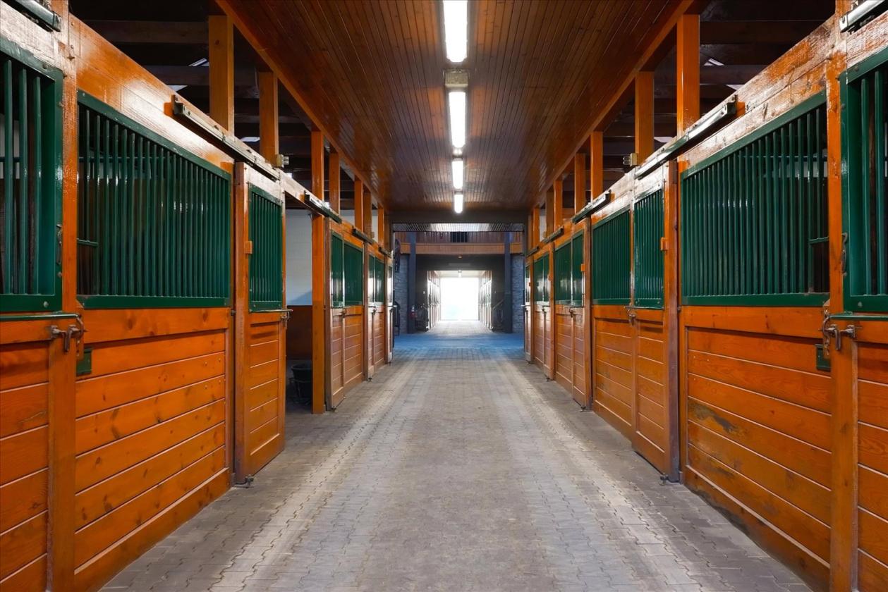 437.5 Acre Legacy Equestrian Estate - photo 24