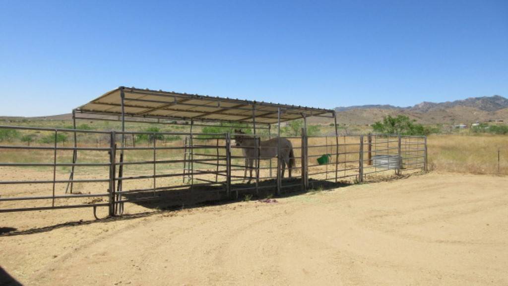 Horse Breeder and Horse Boarders Wanted!!! Kingman, Mohave County, Arizona