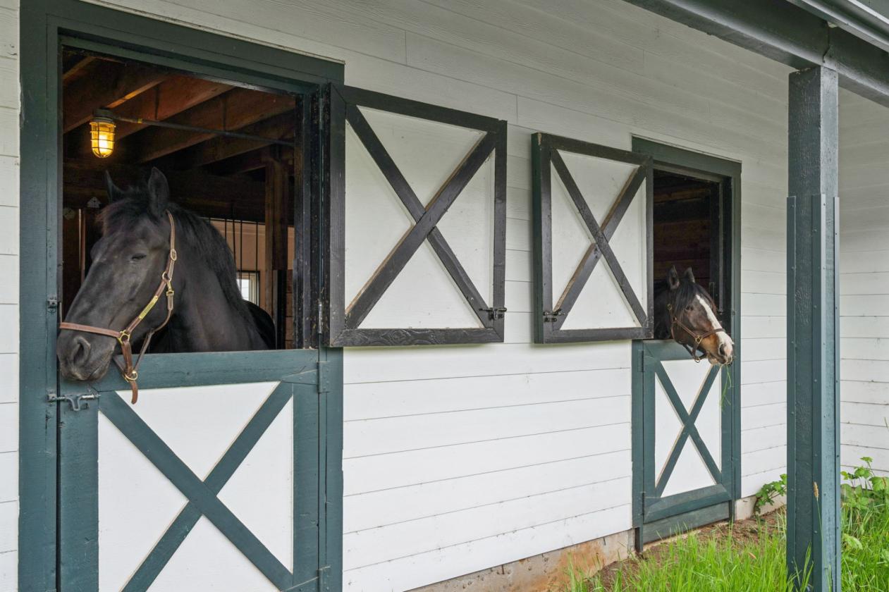 Five Peaks Farm — where agrarian life thrives! - photo 5