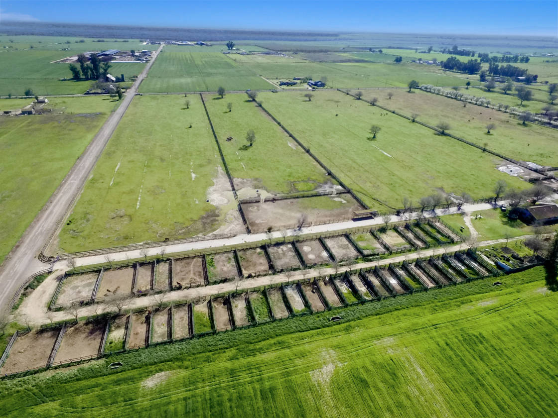 Running Horse Equine Training Farm Stevinson, Merced County