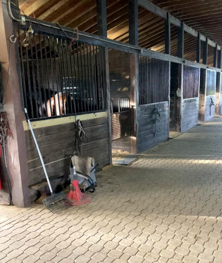 23 Stall Barn on 1 Mile Racetrack w/ Apt - photo 5