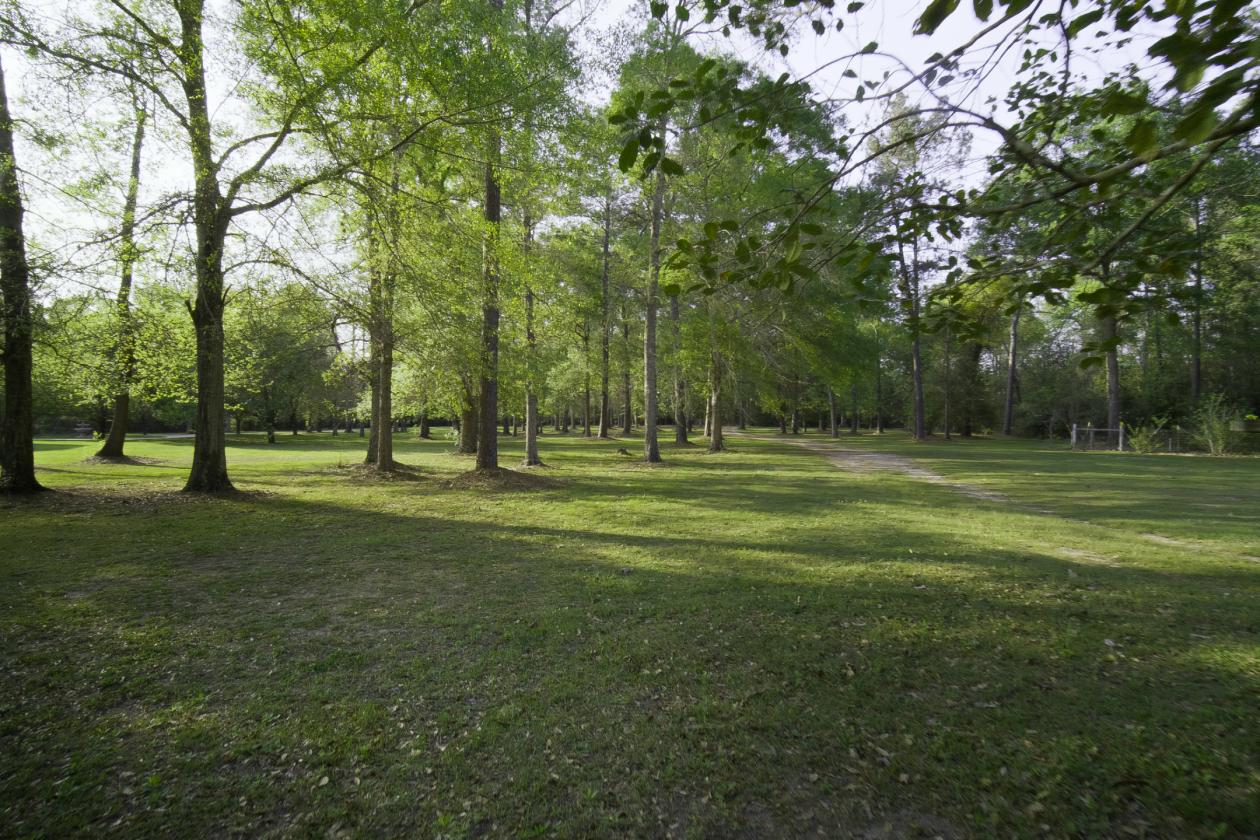 Fully Fenced 56+ Acre Estate - photo 3