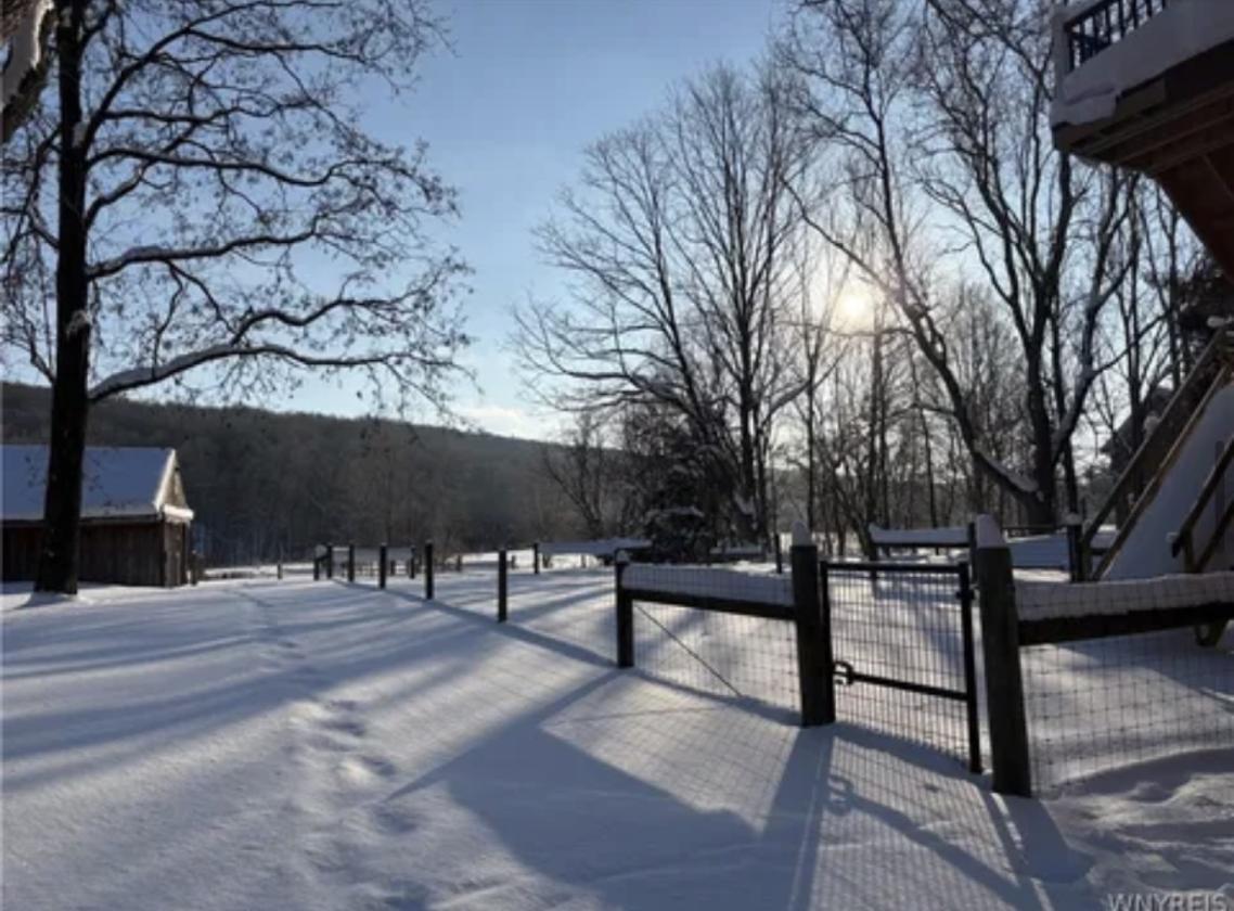 Horse Property gorgeous view 5ac- 2 barns & home - photo 27