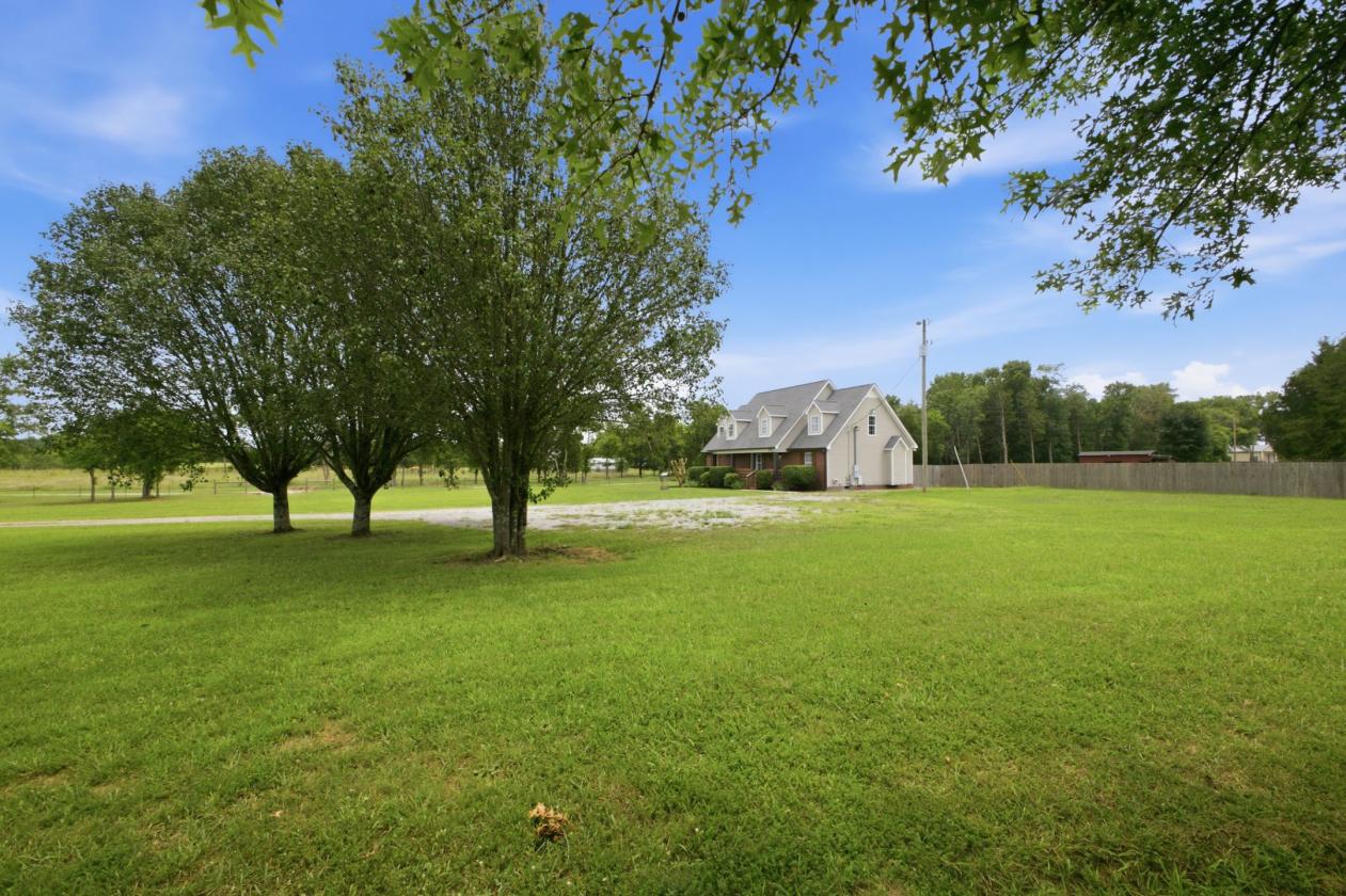 Peaceful 10 Acres/Renovated Home - photo 25