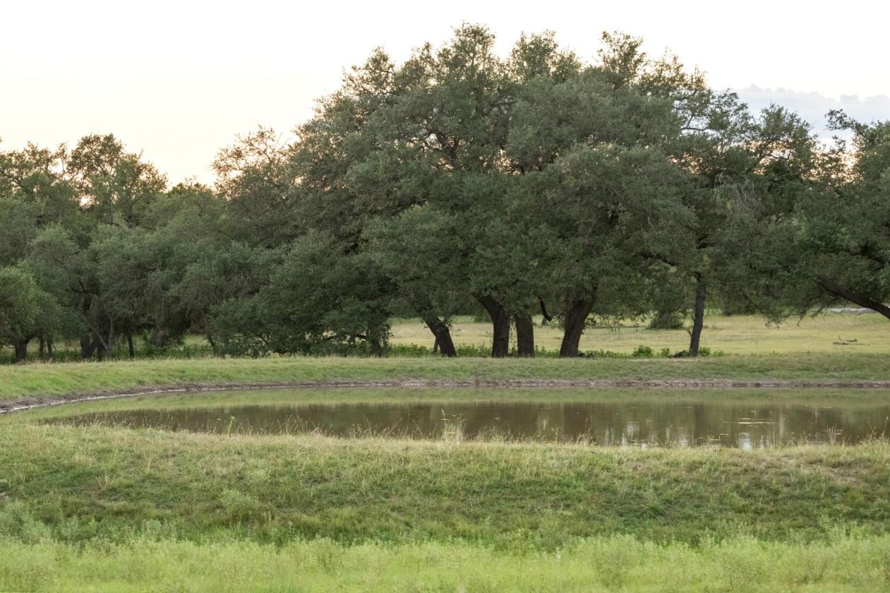 Dancing Oaks Equestrian Ranch - photo 16