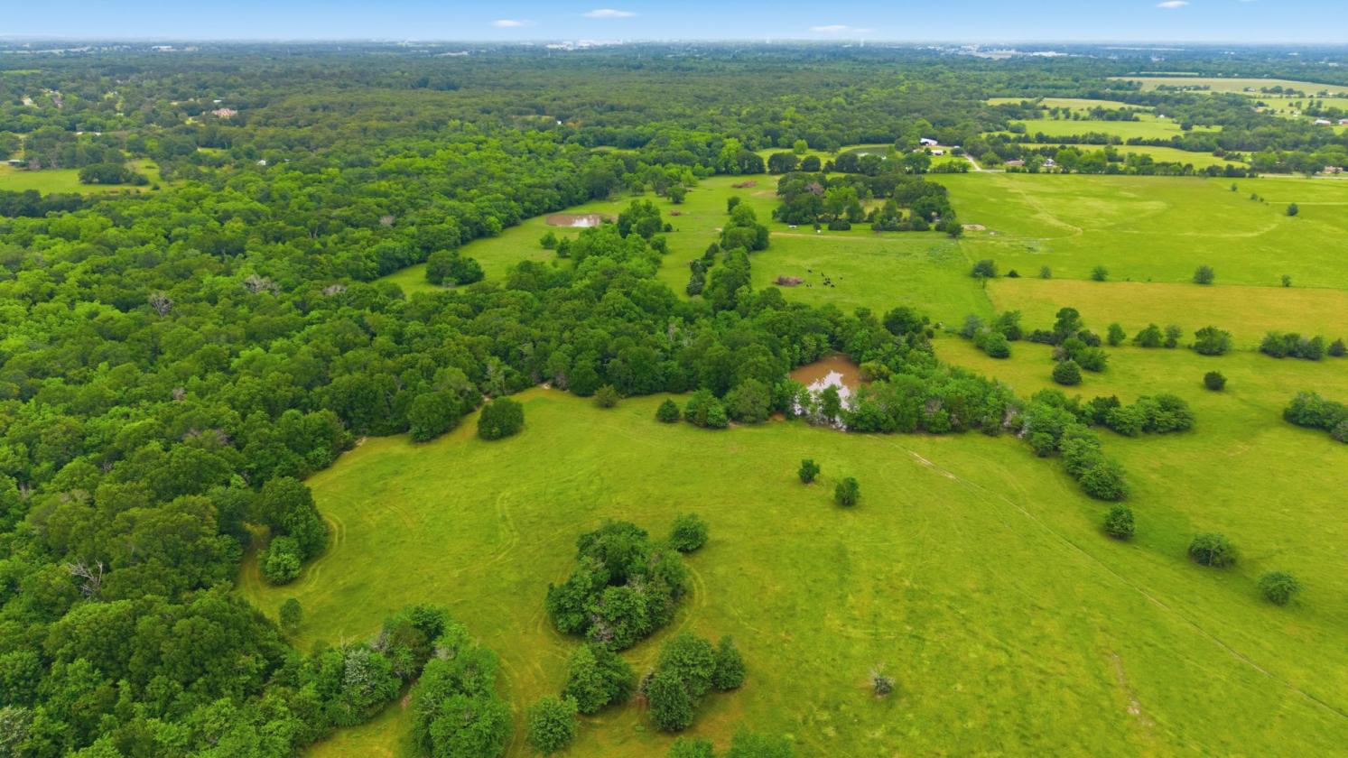 194 ACRE BREATHTAKING RANCH - photo 14