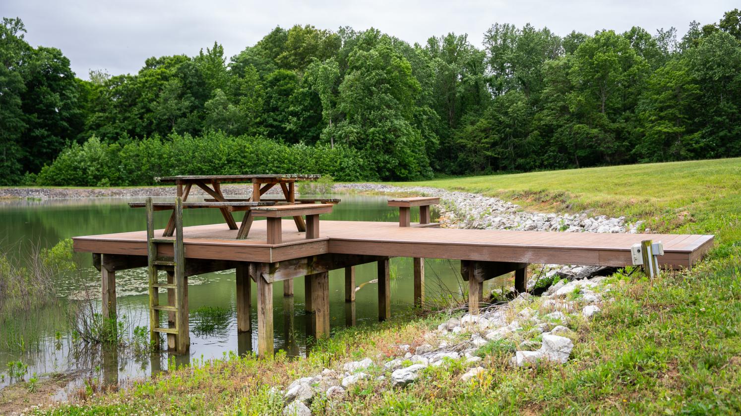Crosley Ridge, Countrymark Home With 120 Acres - photo 7