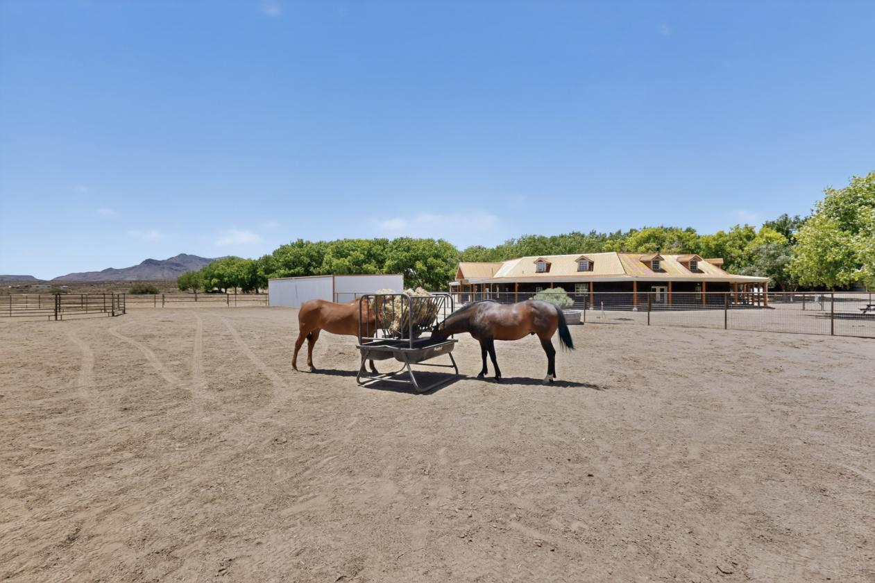 20.4 Acres WATER for growing and horse - photo 23