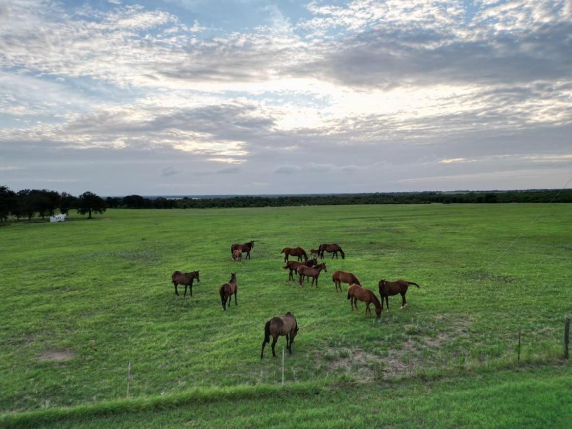 Horse Property and More in Comanche County - photo 26