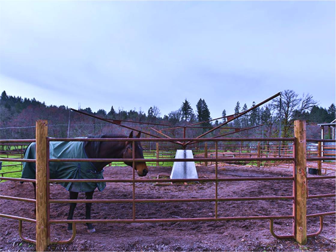 Horse Property Oregon Columbia County Riding Arena