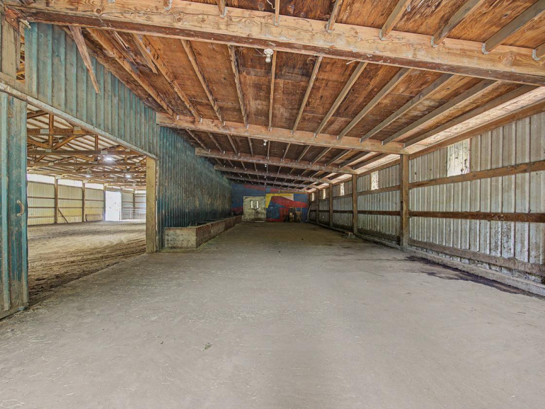 CLOSE IN HORSE LOVER'S DREAM - photo 9